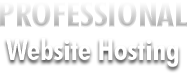 Professional Website Hosting
